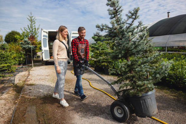 Lawn Watering Services in Bellevue, IA